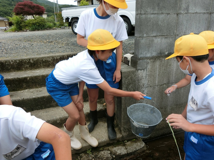 Inkedinkedinkedcimg39902