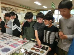 Cimg0282