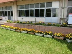 Cimg0371