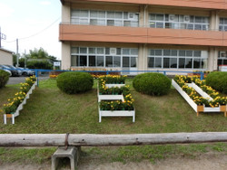 Cimg0534