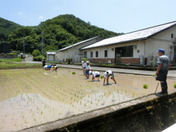 Cimg0612