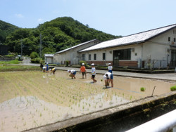 Cimg0614