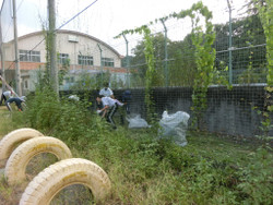 Cimg0808