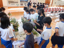 Dscf1630