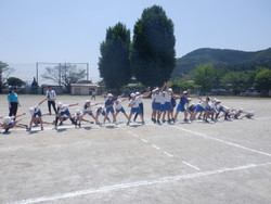 Dscf5317