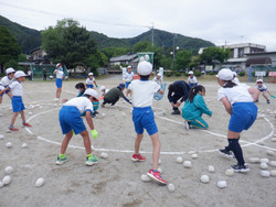 Dscf5361