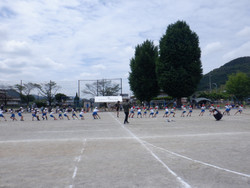 Dscf5379