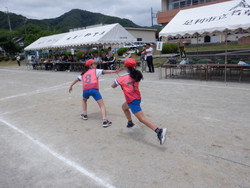 Dscf5384
