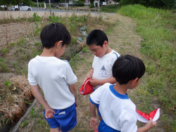 Dscf5432