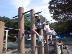 Dscf5919 Dscf5919