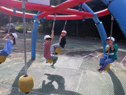 Dscf7772 Dscf7772